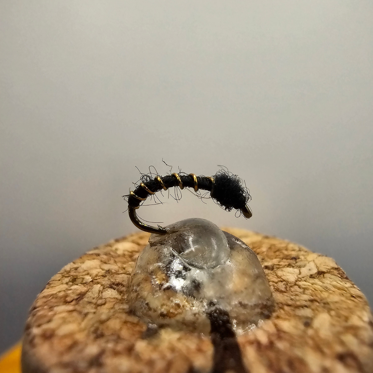 Black Beauty Midge
