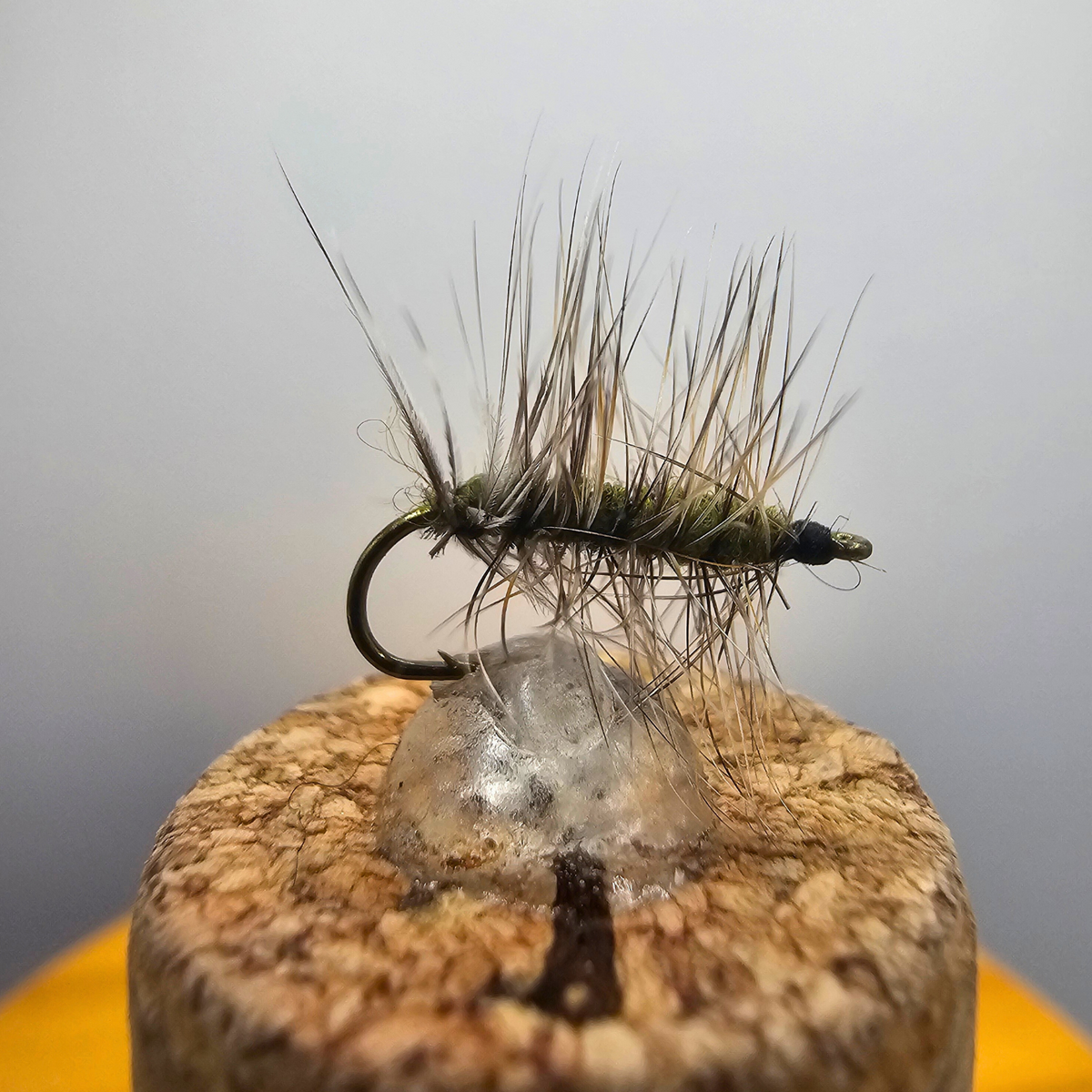 Griffiths Gnat