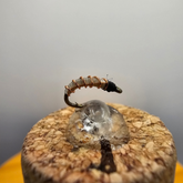 Miracle Midge